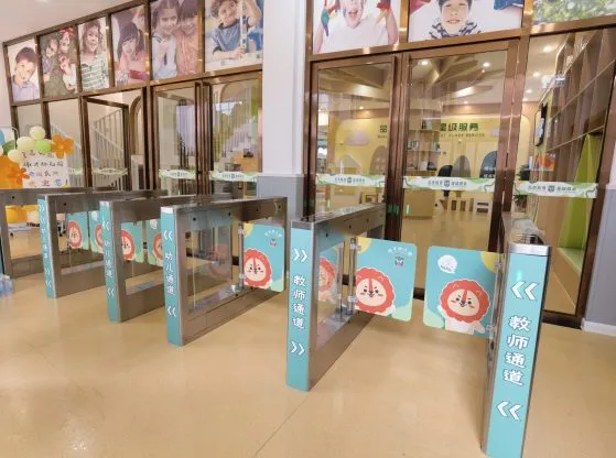 Kapaisi optical turnstile case